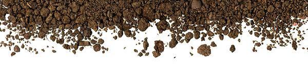 dirt photo