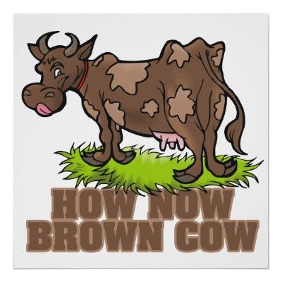 how_now_brown_cow_zpse4277d78.jpg
