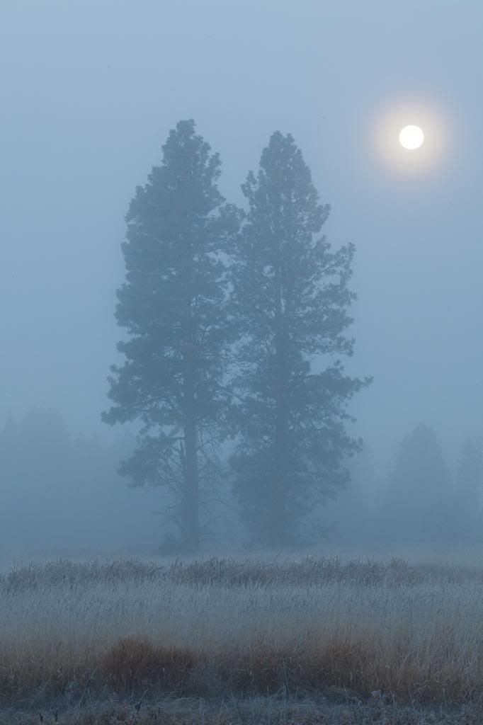 2024 © Ned Fenimore