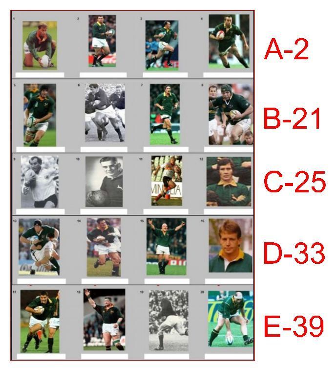  photo SPRINGBOK A_zpsmamrgozh.jpg