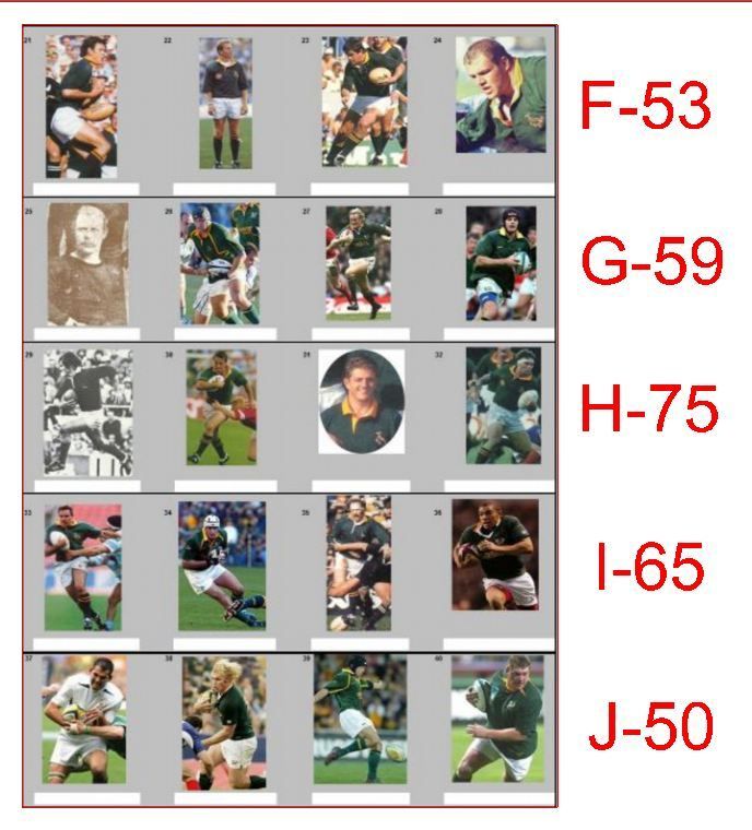  photo SPRINGBOK B_zpspxjnkezc.jpg