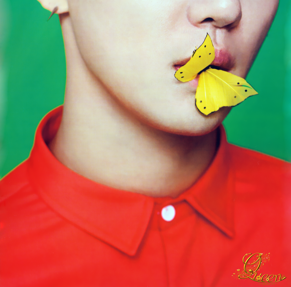  photo 007_DCF9DCE2_zpsc9dc8110.png