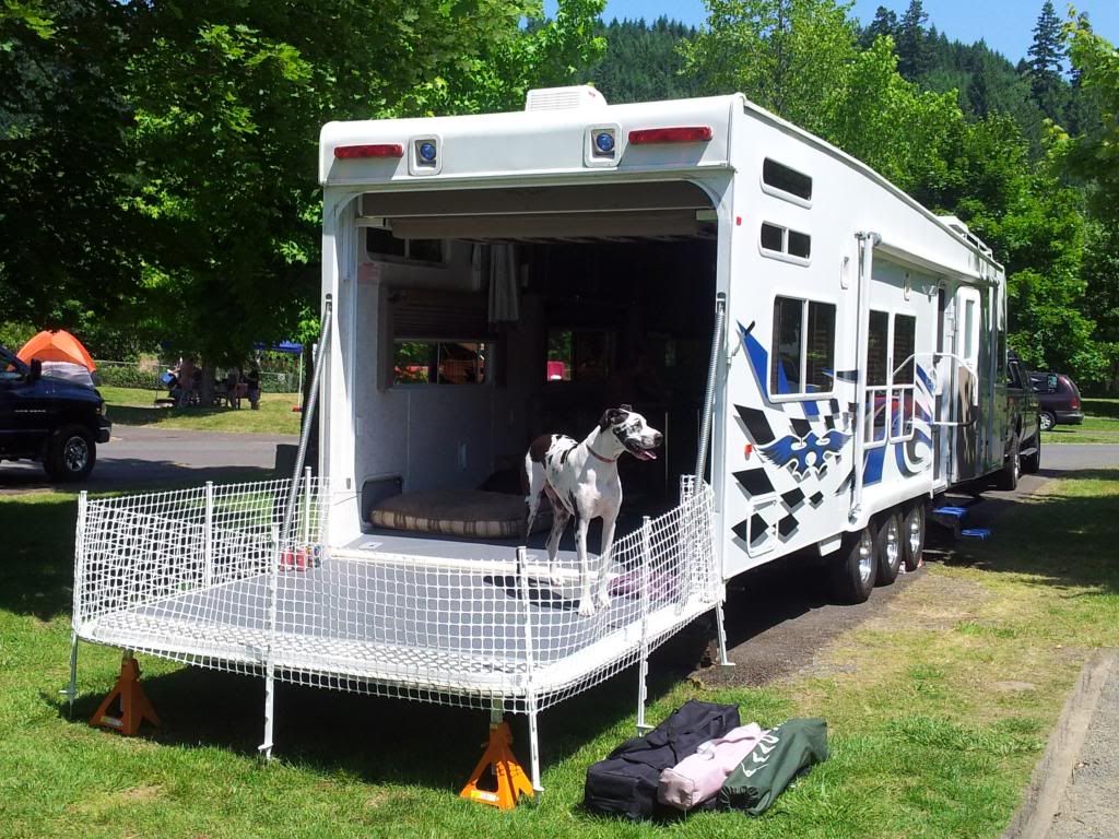 toy hauler for dogs