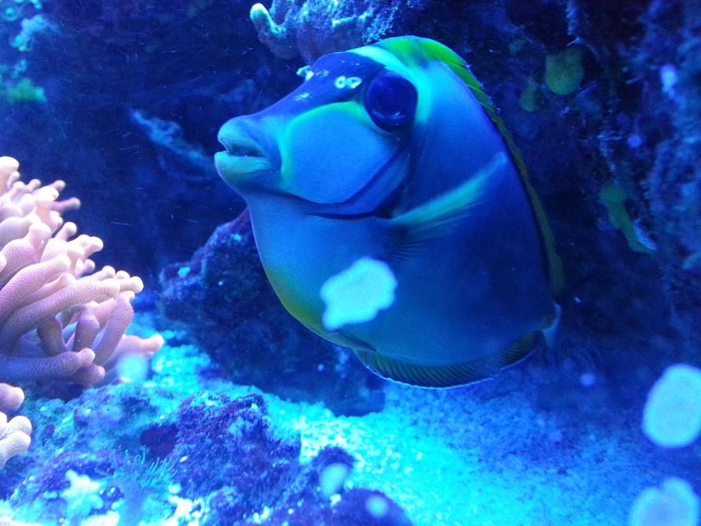 20140906_210632_zpsidg5lwbj.jpg