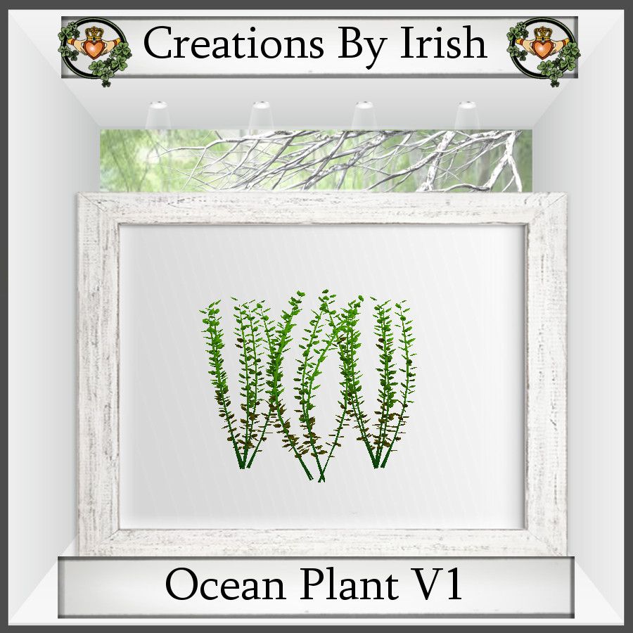  photo QI Ocean Plant V1_zpsrdqpviu1.jpg