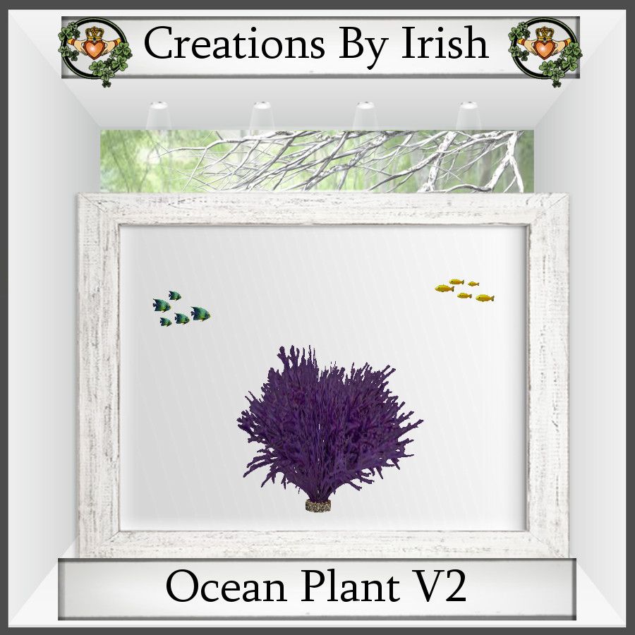  photo QI Ocean Plant V2_zpshnmhd6cq.jpg