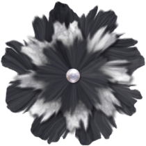 04/19/2014 - Black and White Scrap Flower photo black_Sprunch-Flower_J4DD_zps86729512.png