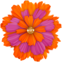 04/19/2014 - Orange and Pink Scrap Flower photo or-pink_Sprunch-Flowers_J4DD_zps59b0b060.png