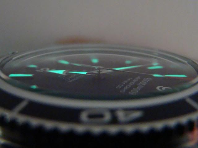 DSC08805_zpsb3a74a3d.jpg