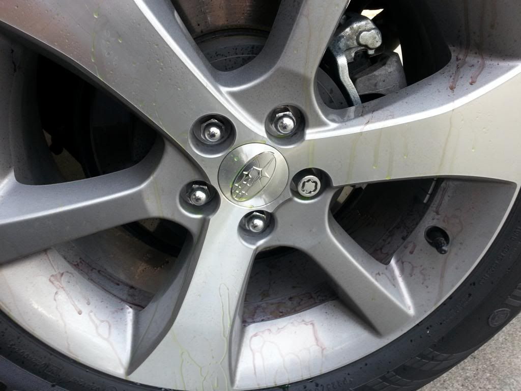 20130121_124131_zpsdd7e5715.jpg