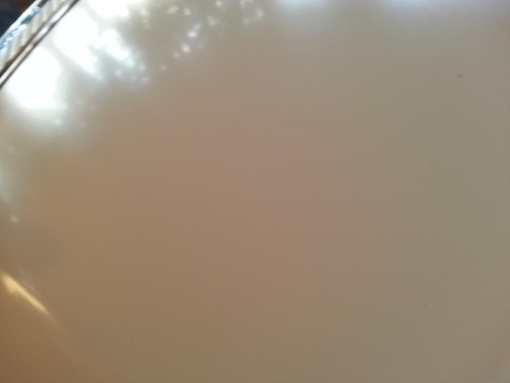 20130215_165159_zps8749ca97.jpg