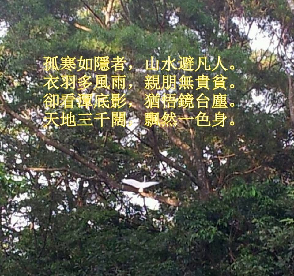 圖檔
