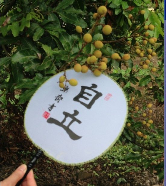 圖檔
