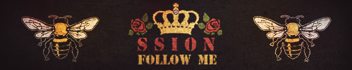 SS_zpsf050283d.png