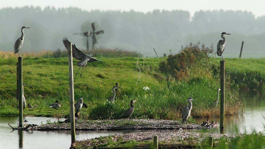 Fotografie