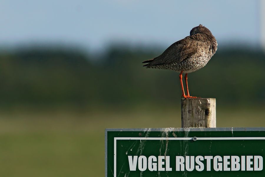 Fotografie