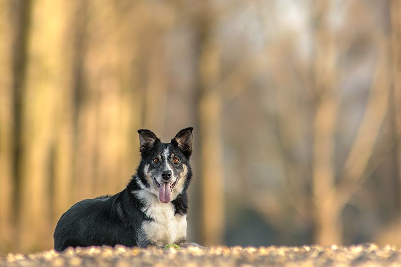 Fotografie