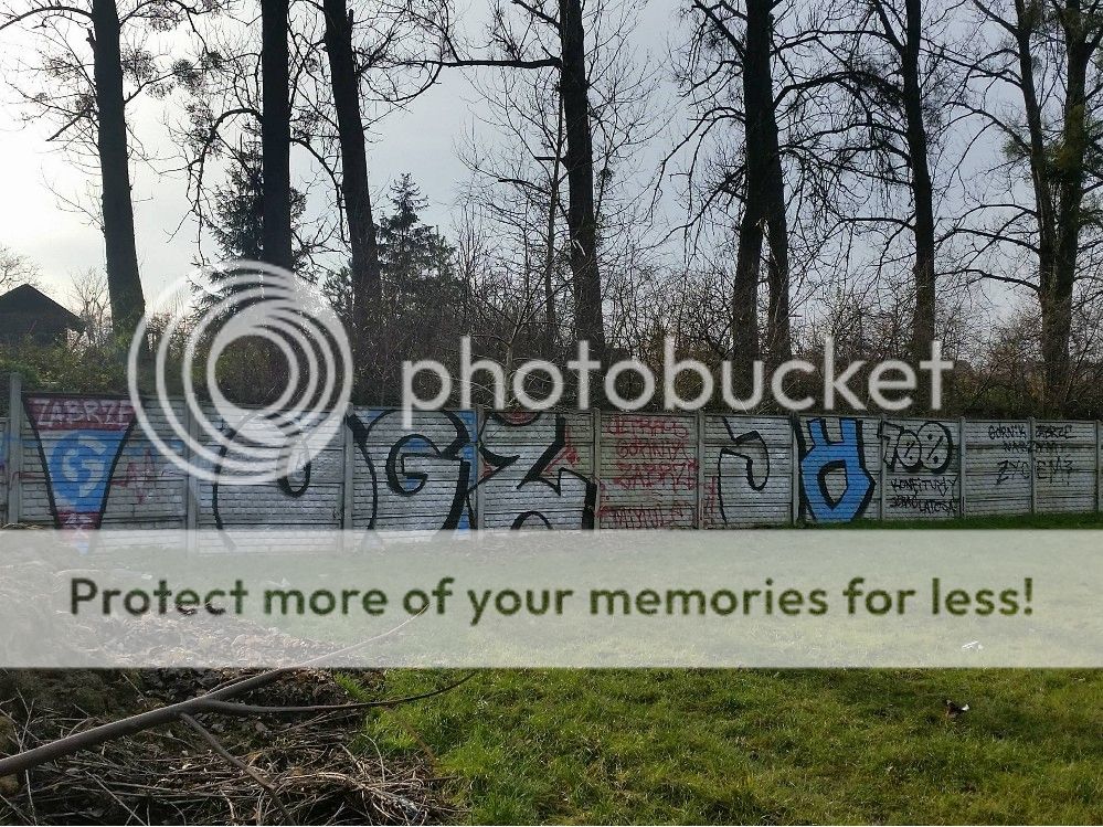  photo 15134044_1327094360687511_819815631_o_zpsx5xbbxiz.jpg