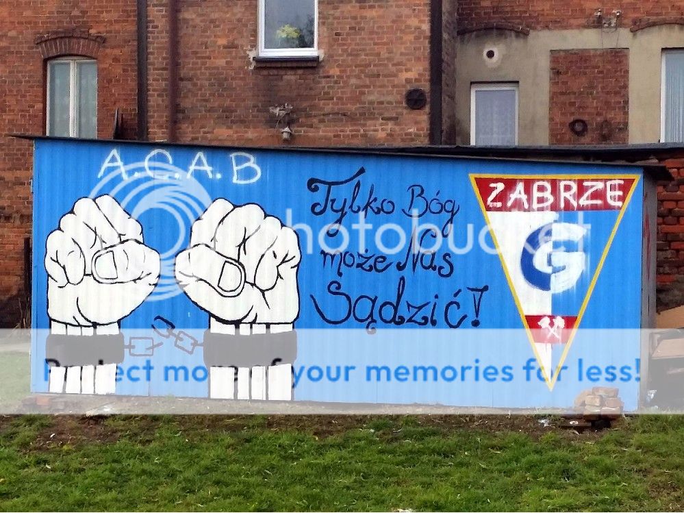  photo 15184014_1327094257354188_1148264006_o_zpsdntbqefr.jpg